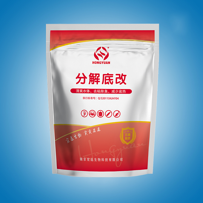 分解底改